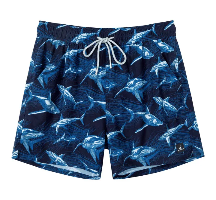 2 in 1 Stretch Gym Shorts Shark